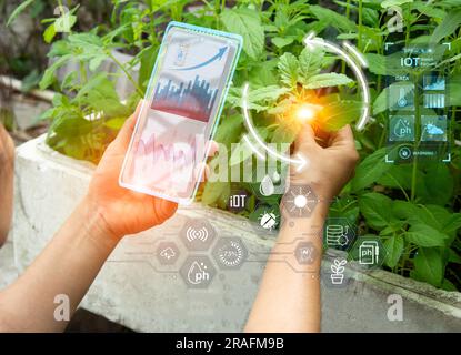 The concept of using AI and smart farming Stock Photo