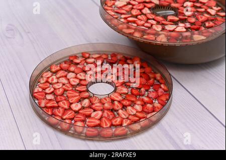 tray with strawberry slices into a food dehydrator machine Stock