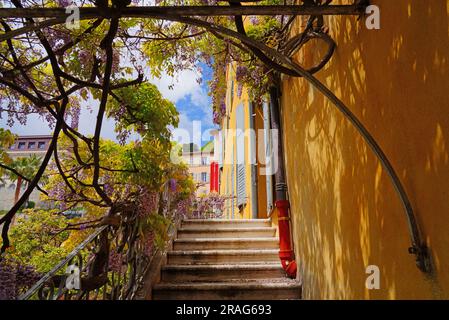 GRASSE, FRANCE -17 APR 2023- View of the Musee International de la Parfumerie (International Perfume Museum) located in Grasse, Provence, France. Stock Photo