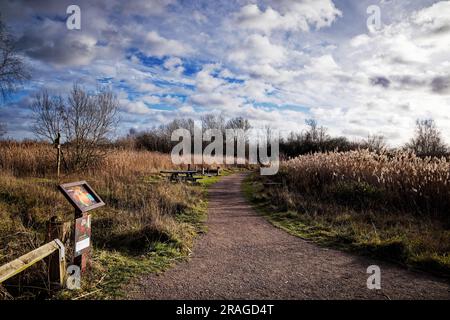 Old Moor Nature Reserve, Barnsley Stock Photo