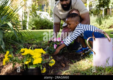 African american father assisting son in planting fresh flowers on field in backyard Stock Photo