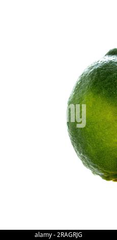 Citric fruits collage tangerine lime in a white background Stock Photo