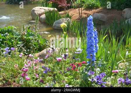 small colorful flowers blossoms on the edge of brook in the sunny day Stock Photo