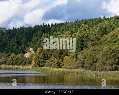 Ballarat Australia /  Kirks Reservoir Park is a beautiful location.The reservoir provides drinking water for Balllarat and surrounds. There are also f Stock Photo