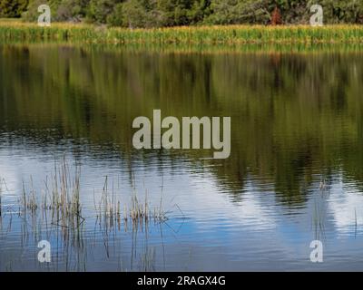 Ballarat Australia /  Kirks Reservoir Park is a beautiful location.The reservoir provides drinking water for Balllarat and surrounds. There are also f Stock Photo