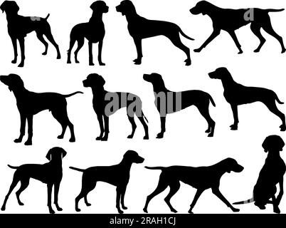 Set of Vizsla Dog Silhouette Stock Vector