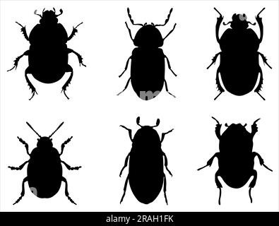 ladybird silhouette collection - vector Stock Vector Image & Art - Alamy