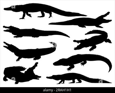 Set of Alligator Silhouette Stock Vector