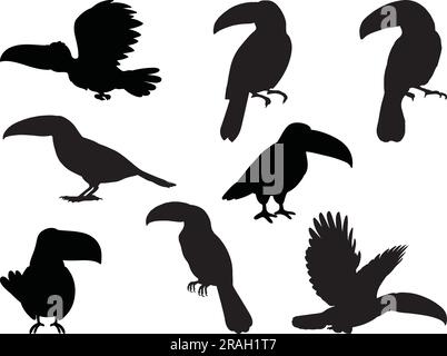 Set of Toucan Bird Silhouette Stock Vector