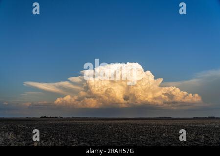 Cumulonimbus clouds on the prairies at sunset near Winkler, Manitoba, Canada. Stock Photo