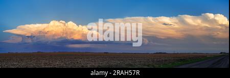 A panorama view of cumulonimbus clouds on the prairies at sunset near Winkler, Manitoba, Canada. Stock Photo