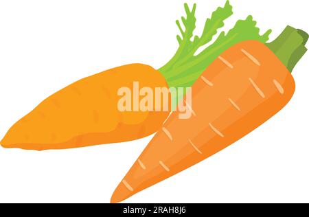 Vitamin food icon isometric vector. Ripe organic freshly harvested carrot icon. Raw food, healthy nutrition Stock Vector