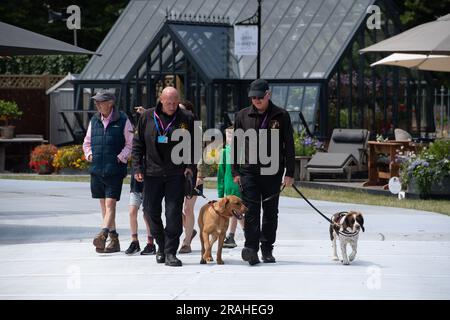 East Molesey, Surrey, UK. 3rd July, 2023. Explosives sniffer dogs and their handlers at RHS Hampton Court Festival. Credit: Maureen McLean/Alamy Stock Photo