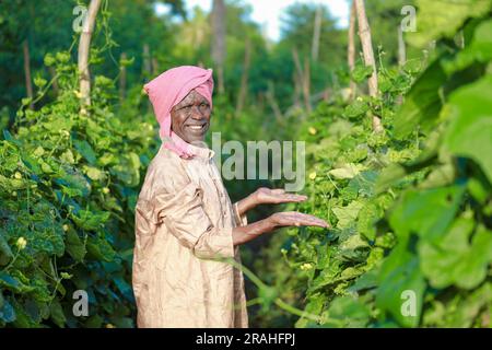 Indian farming Happy indian farmer standing in farm, sowing Empty Hands Stock Photo