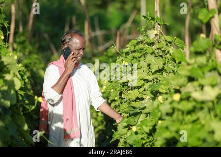 Indian farming, farmer holding bottle gourd, happy farmer speaking on cell phone Stock Photo