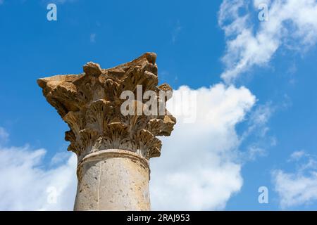 Roman column against a blue sky in the ancient town of Cuicul in Djemila, Setif, Algeria. Stock Photo