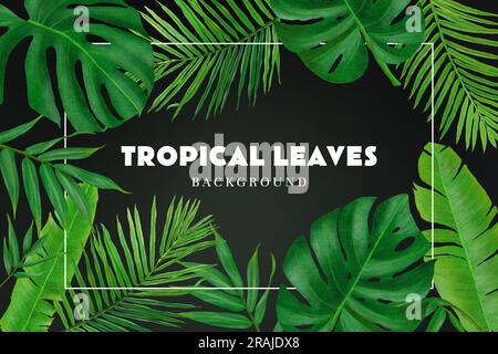 Tropical leaves exotic background frame vector Stock Vector