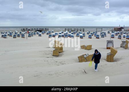 DEU, Deutschland, Schleswig-Holstein, St. Peter-Ording, 17.05.2023: einem Frau mit Foxterrier auf einem Spaziergang  vor leeren Strandkörben vor dem R
