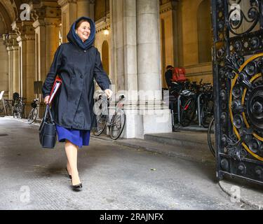 London, UK. 04th July, 2023. Gillian Keegan, Secretary of State for Education.Ministers in the Conservative Party Sunak government attend the weekly Cabinet Meeting today. Credit: Imageplotter/Alamy Live News Stock Photo