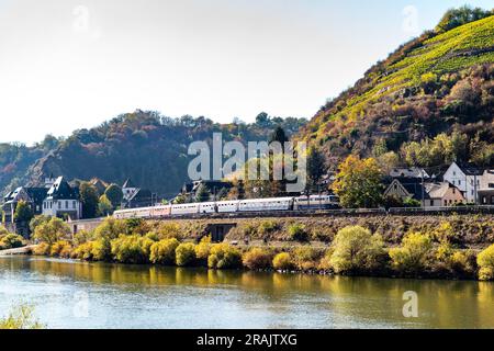Regional train passing the yellow vineyards in autmn close the moselle river in Kobern Germany. Stock Photo
