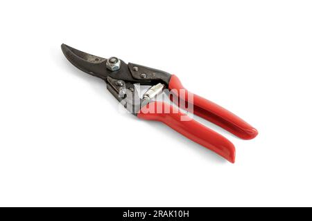 A pair of red-handled garden secateurs in closed position, isolated on a white background,, UK Stock Photo