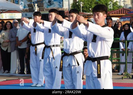 UNIFIL self defence and cultural event at Southern Lebanon, Tyr. Stock Photo