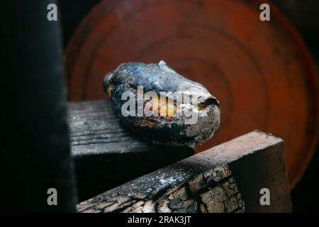 Grilled banana in the peruvian jungle. Stock Photo