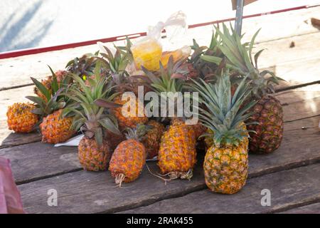 Pineapples from an organic plantation in a bucket at a market in Tarapoto in the Peruvian jungle. Stock Photo