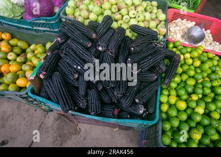 Purple corn is a group of Zea mays varieties that have a purple fruit. They grow mainly in the Andes of Peru Stock Photo