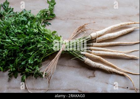 Bundle of Root parsley with green leaves isolated on beige background from above Stock Photo