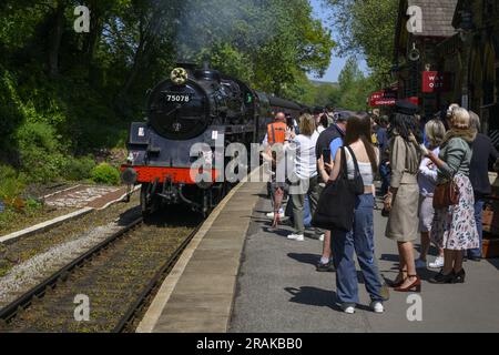 People (rail enthusiasts) watching train loco 75078, arriving, puffing smoke (nostalgic trip on historic railway) - KWVR Haworth Station, England UK. Stock Photo