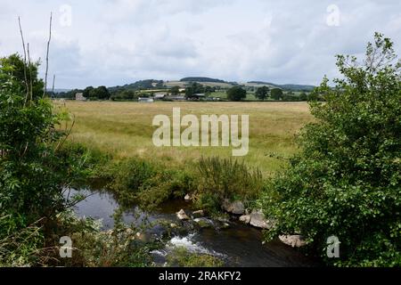 Coly River running through Colyton Town in the Coly Valley East Devon England uk Stock Photo