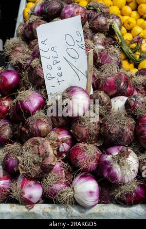 Beautiful purple local onions in Italy called Cipolla di Tropea Stock Photo