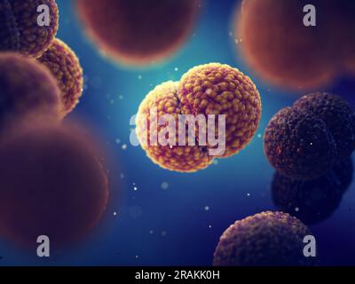 Meningitis bacteria, Neisseria meningitidis. Meningococcal meningitis is a bacterial form of meningitis, a serious infection of the thin lining Stock Photo