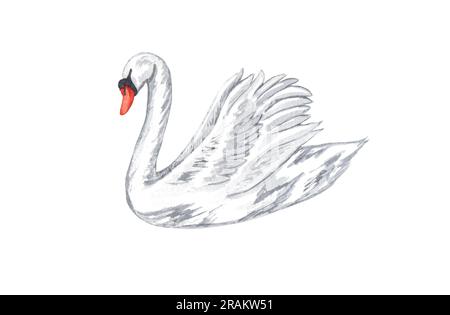 How To Draw A Swan Step by Step - [7 Easy Phase]