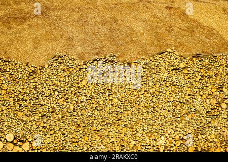 A large pile of logs and wood chips, a sustainable source of renewable ...