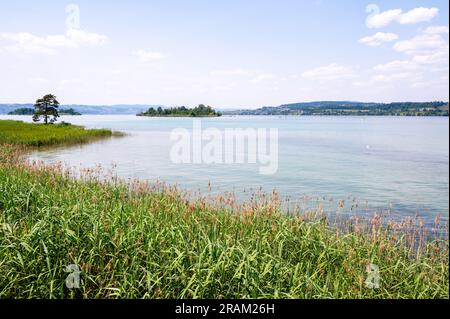 Lake Zurich near Rapperswil, Switzerland Stock Photo