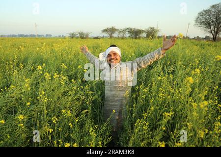Young happy Indian farmer man standing in mustard field in a day time ...