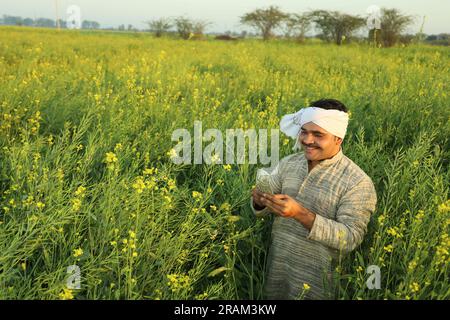 Young happy Indian farmer standing in mustard field enjoying the agricultural profits. He is happy to get benefitted by the mustard flourishes crops. Stock Photo