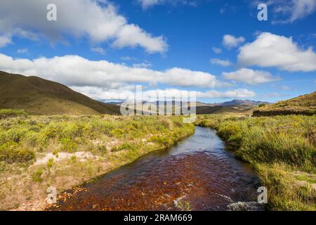 Clear creek in mountains plateao paramo in Colombia Stock Photo
