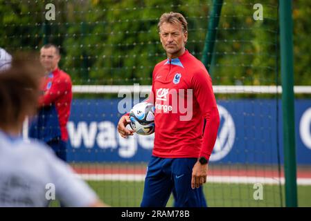 Herve Renard appointed France women's team manager ahead of World