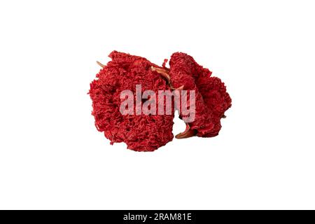 Dried pomegranate flower isolated on a white background. Top view. Stock Photo