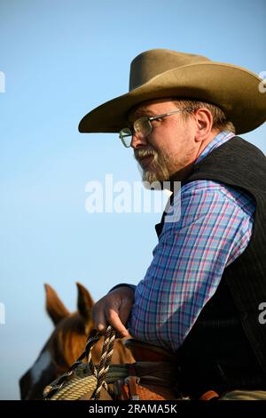 Chance Dennis of Dennis Ranch in Red Owl, South Dakota. Stock Photo