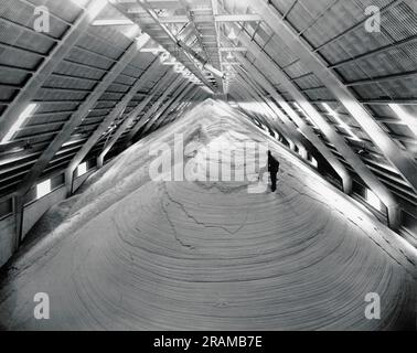 Sugar Land, Texas:  October 6, 1957 Forty million pounds of raw sugar tower 60 feet high in the Imperial Sugar Company's new warehouse. It is larger than a football field. Stock Photo