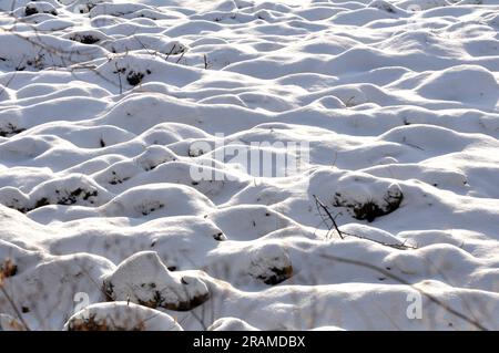 Winter landscape with shadows after the first snowfall Stock Photo