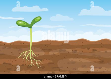 young plant growing from soil; spring, new life concept - vector ...