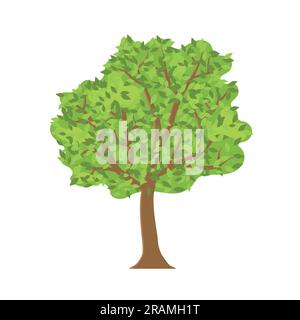 green tree icon- vector illustration Stock Vector