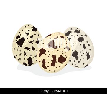 quail eggs icon- vector illustration Stock Vector