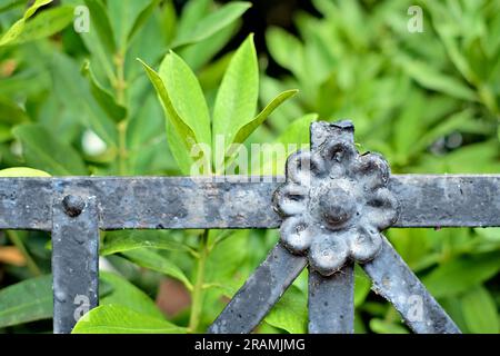 Black flower decoration in cast iron metal painted black, green floral background, graveyard architecture detail. Stock Photo