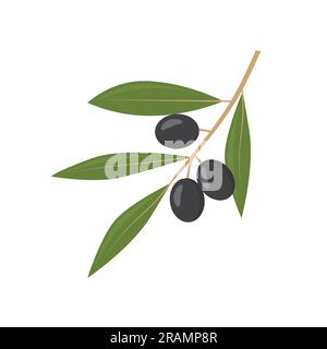 black olive tree branch- vector illustration Stock Vector